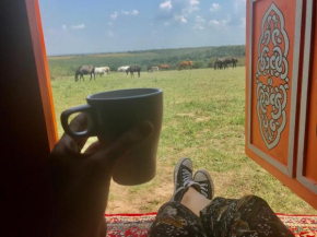 Dharma Horse Shelter Bungalows & Farmping, Siofok